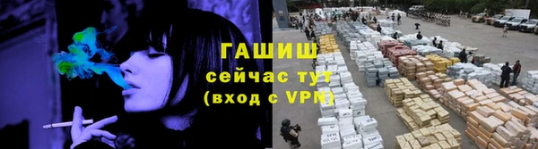 сатива Алзамай