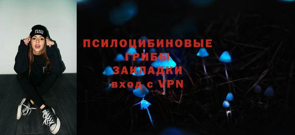 амф Алексеевка
