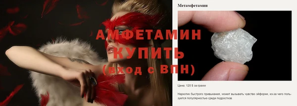сатива Алзамай