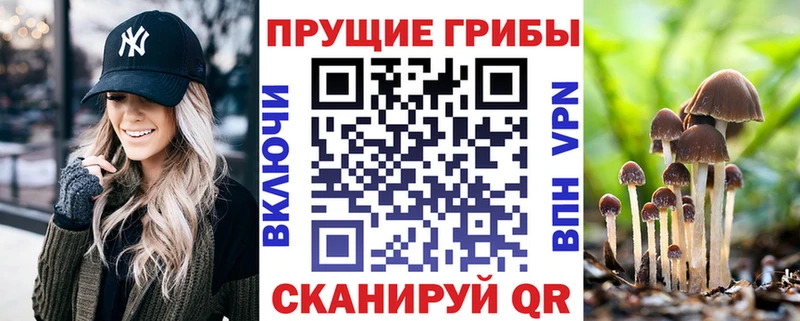 Псилоцибиновые грибы прущие грибы  где купить наркоту  Бокситогорск 