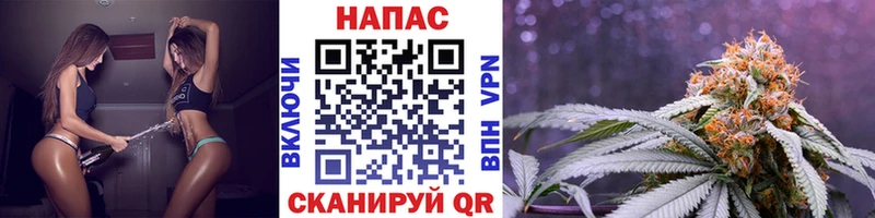 Каннабис SATIVA & INDICA Бокситогорск